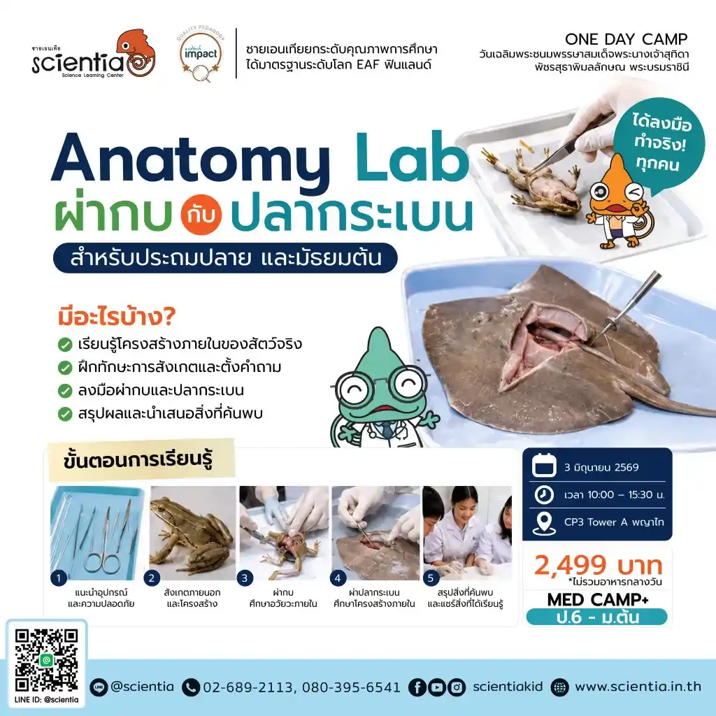ซายเอนเทีย ศูนย์การเรียนรู้วิทยาศาสตร์สำหรับเด็กประถม คอร์สติว สสวท. วิทยาศาสตร์