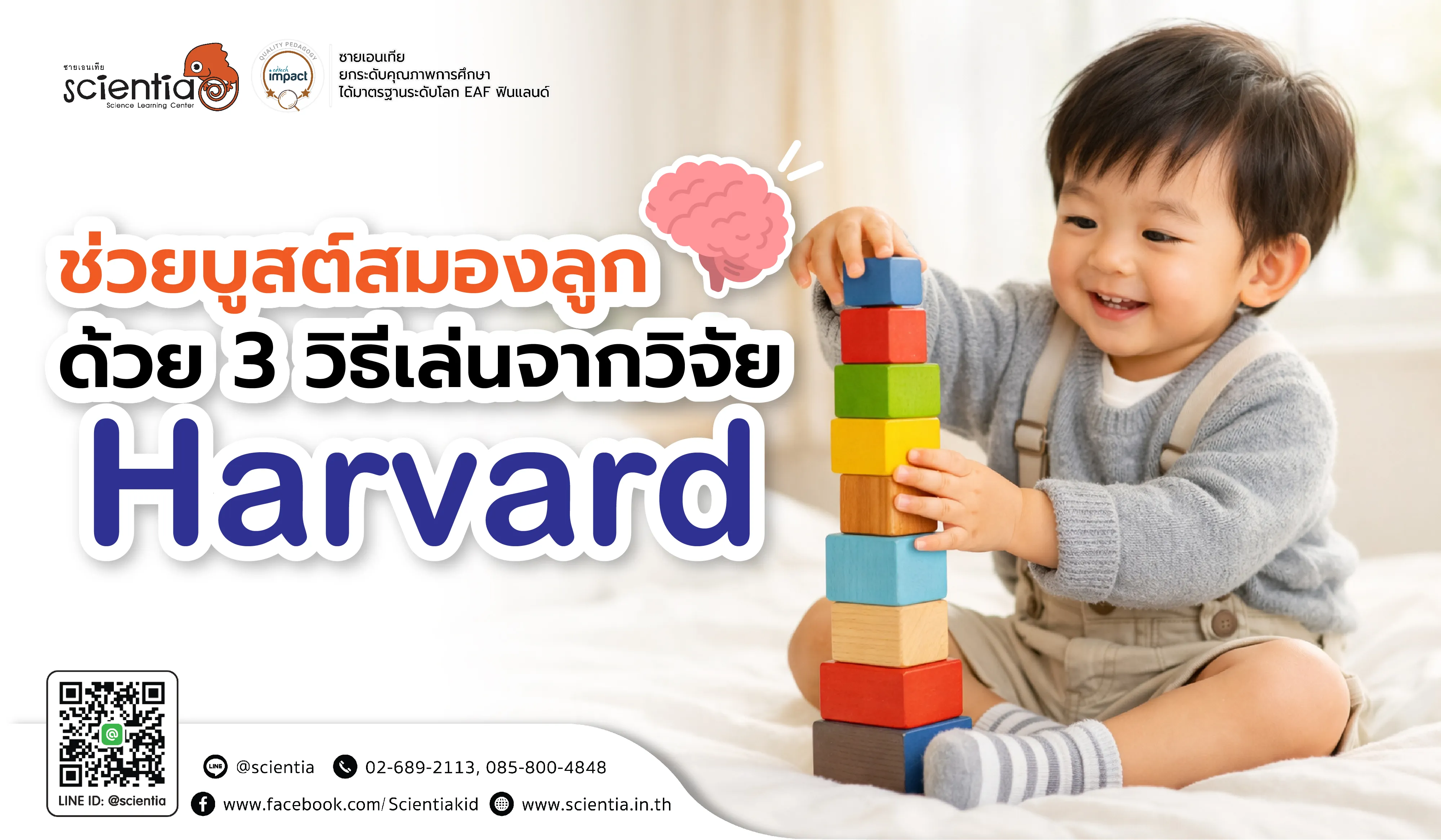 ช่วยบูสต์สมองลูก ด้วย 3 วิธีเล่น จากวิจัย Harvard