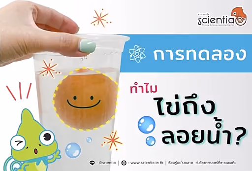 ไข่ลอยน้ำ | กิจกรรมวิทยาศาสตร์ง่าย ๆ ทำได้ที่บ้าน