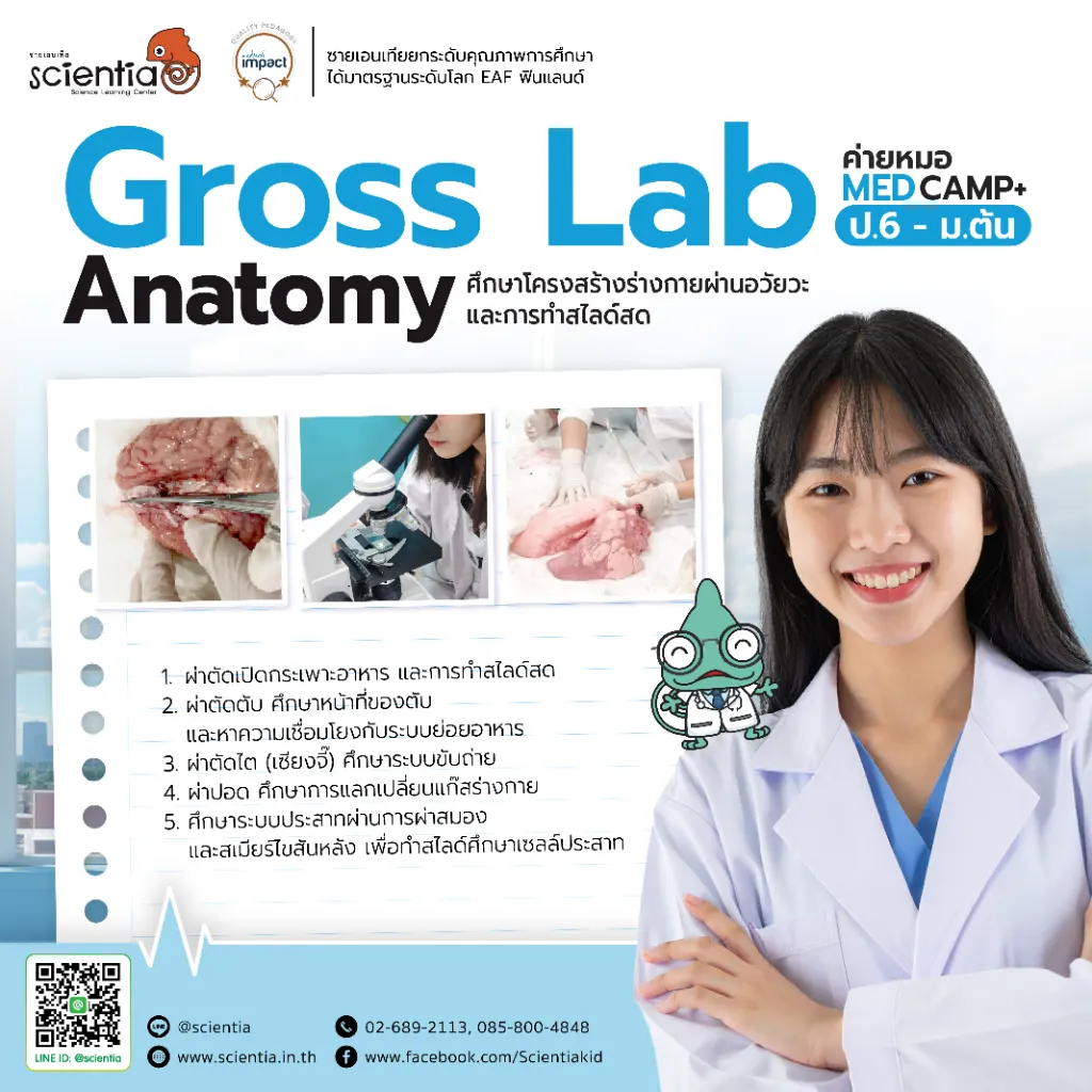 ค่ายวิทย์ Science ประถมต้น | Scientia