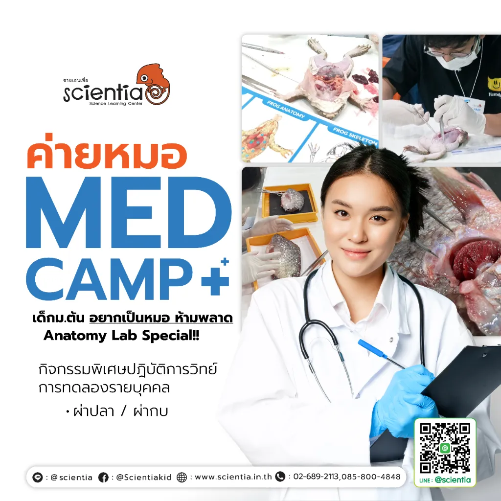 ค่ายวิทย์ Science ประถมต้น | Scientia