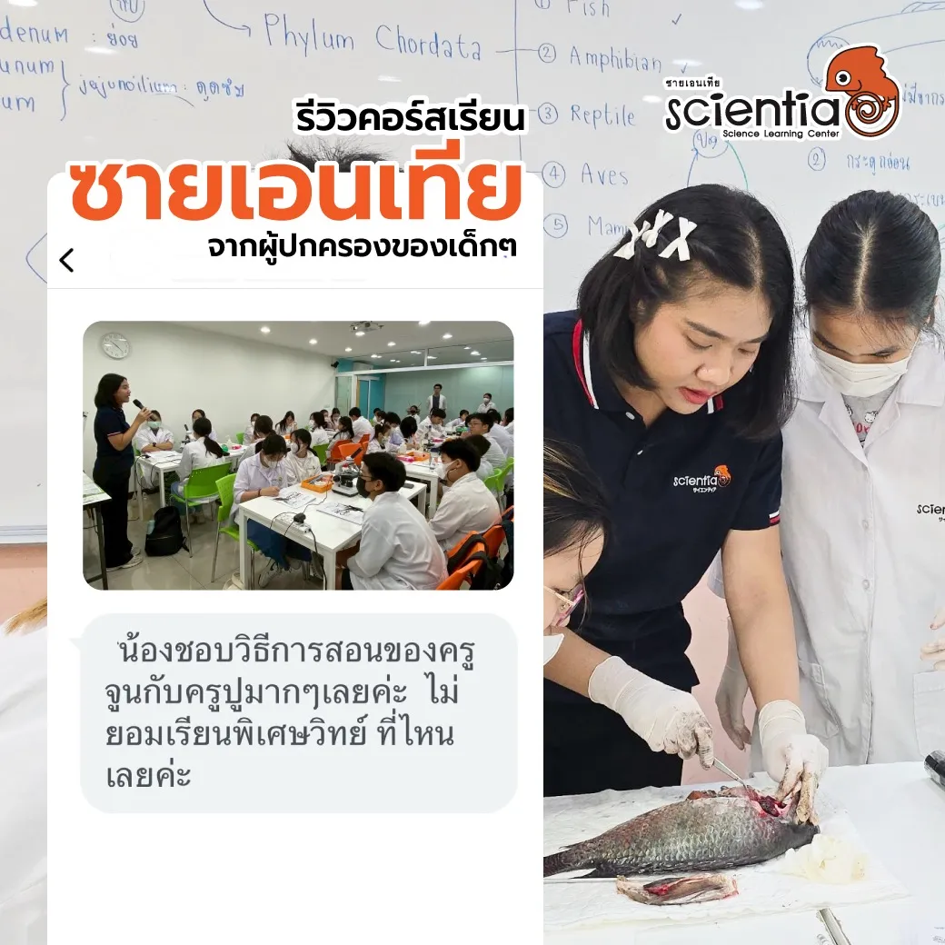ซายเอนเทีย ศูนย์การเรียนรู้วิทยาศาสตร์สำหรับเด็กประถม คอร์สติว สสวท. วิทยาศาสตร์