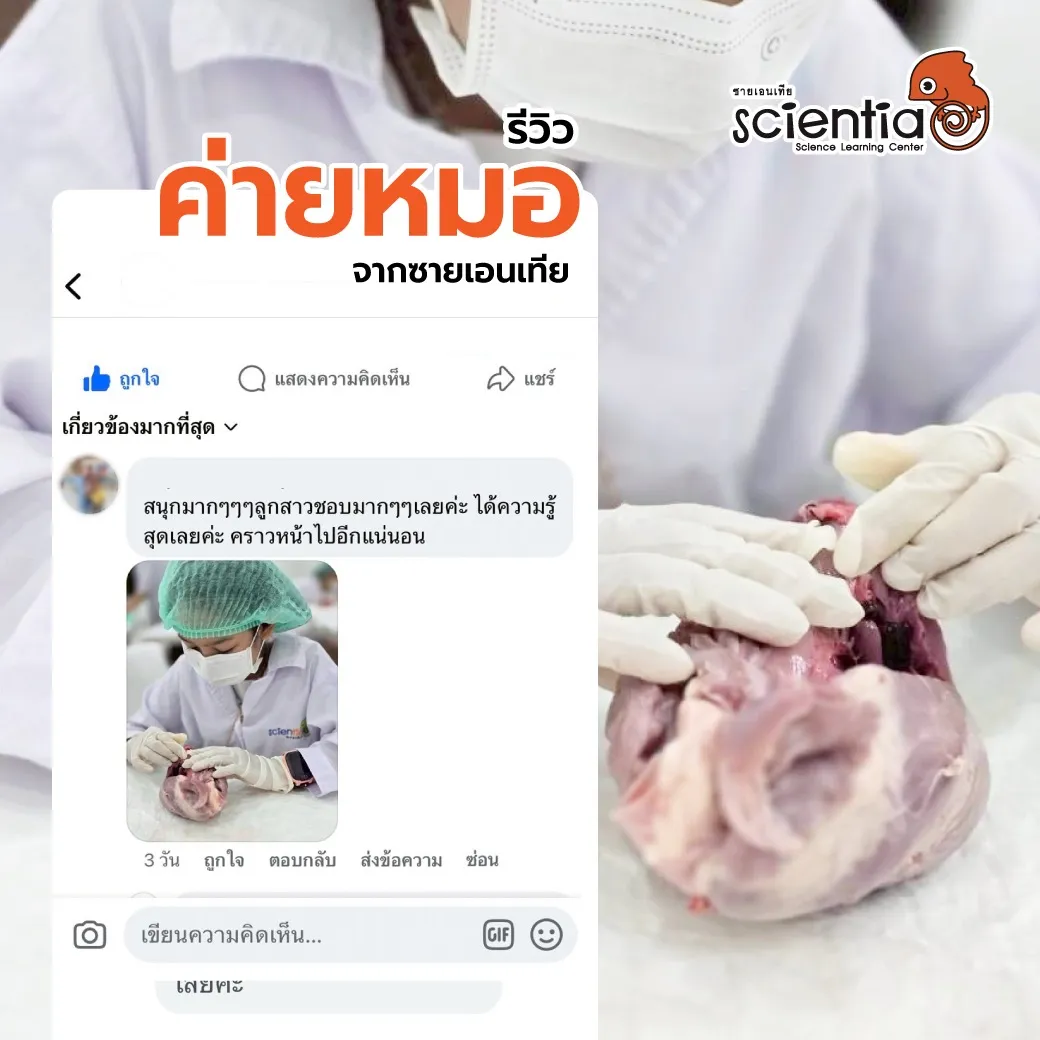 ซายเอนเทีย ศูนย์การเรียนรู้วิทยาศาสตร์สำหรับเด็กประถม คอร์สติว สสวท. วิทยาศาสตร์