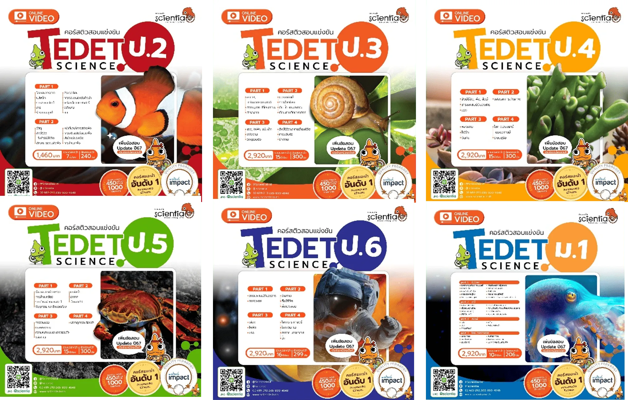 สอบ TEDET 2569 คืออะไร ? สำคัญกับเด็กสายวิทย์ยังไง